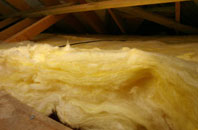 Winsick pitch roof insulation